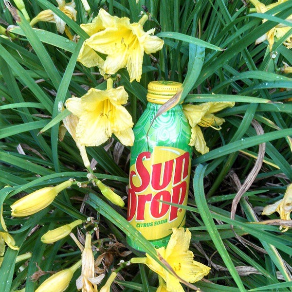 Beersheba Springs Park Beersheba Springs, TN