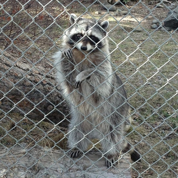 Kamloops Wildlife Park Kamloops, BC