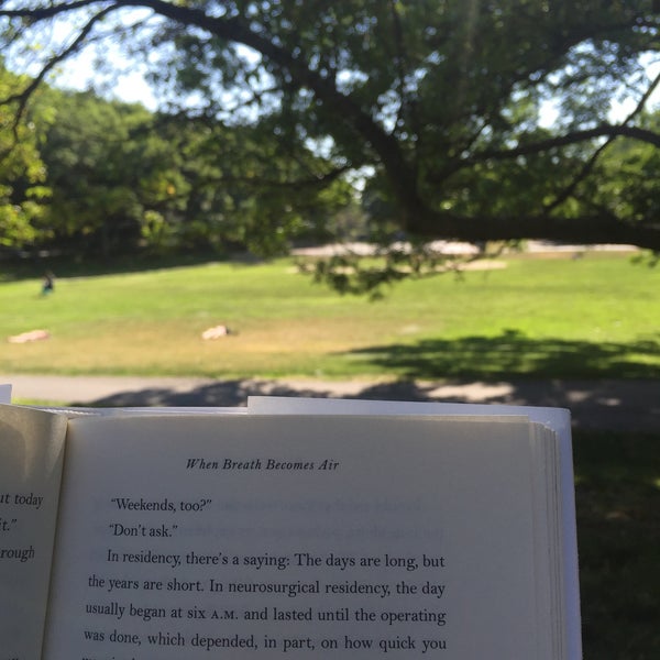 Jean B Waldstein Playground Jean B Waldstein Playground