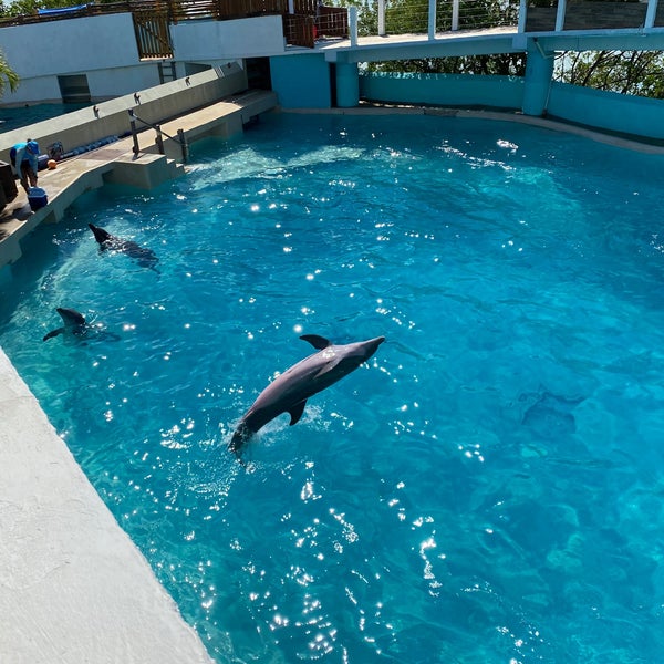 Photo taken at Aquarium Cancun by Ezequiel P. on 10/4/2021