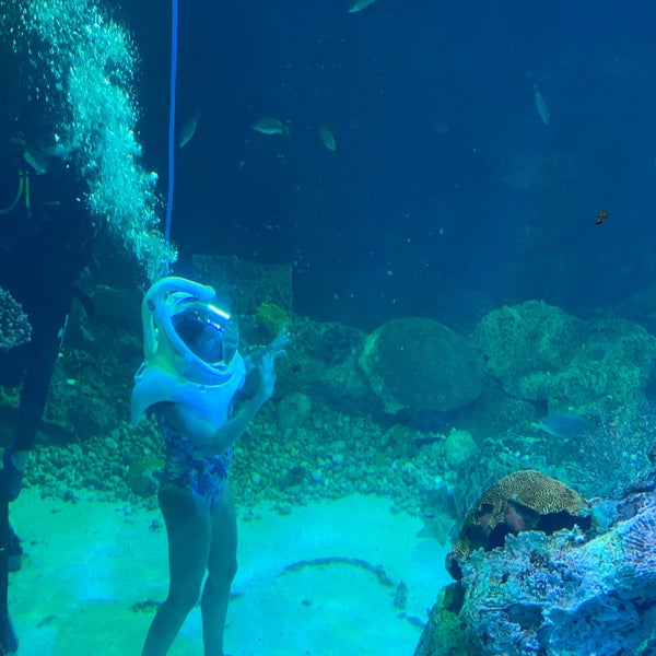 Photo taken at Aquarium Cancun by Ezequiel P. on 10/4/2021