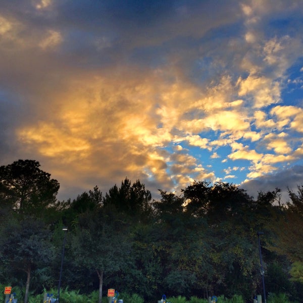Photos at Coconuts Car Wash Palm Coast, FL