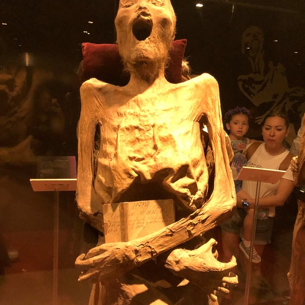 Foto tomada en Museo de las Momias de Guanajuato  por Kindall H. el 9/15/2019