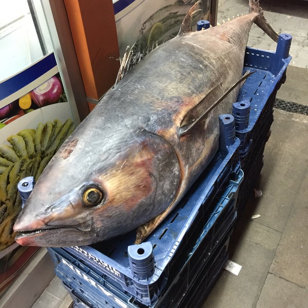 Photo prise au Ekonomik Balık Restaurant Avanos par Ömer K. le11/20/2016