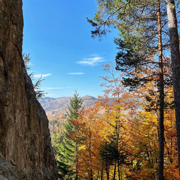 Скаль. Скаль. Скаль. Скаль. Скалите.