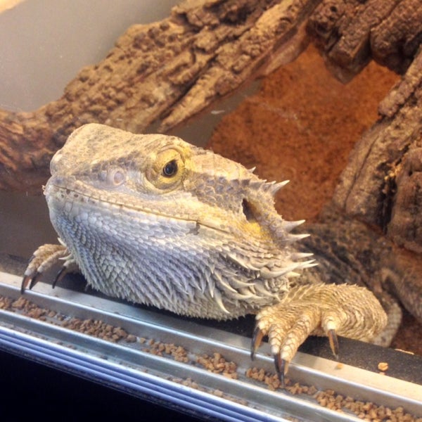 Reptiles Unlimited Pet Supplies Store in Long Beach