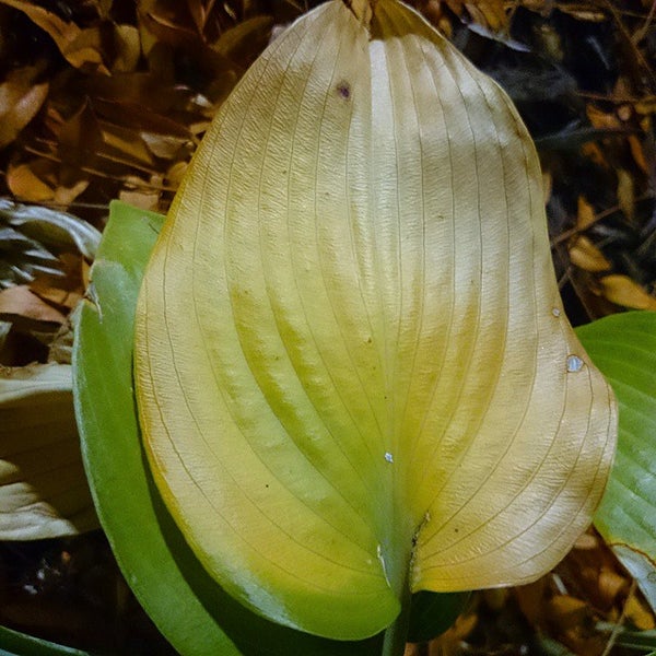 Meadowvale Town Centre Meadowvale 4 tips from 554 visitors