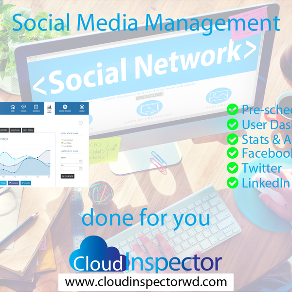 Inspector cloud. Inspector cloud