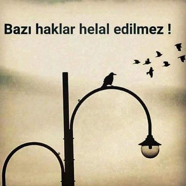 Trend Mobilya Home Facebook