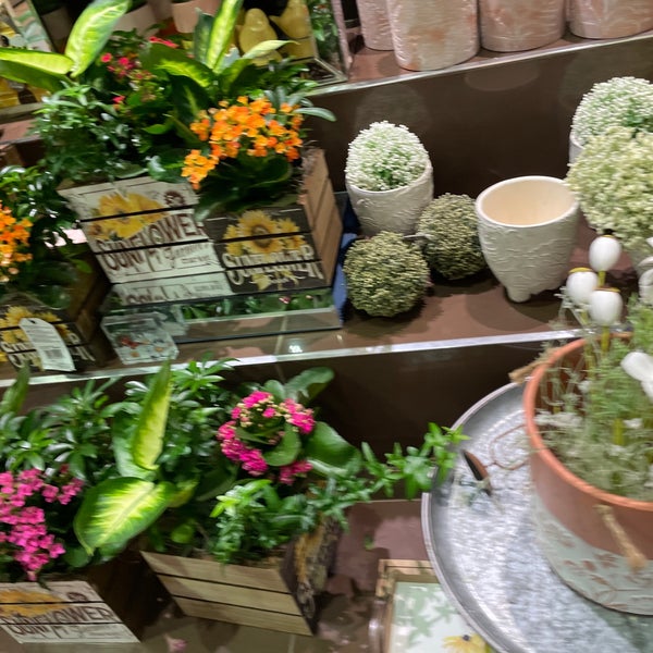 Fortinos Flowers Brampton Best Flower Site