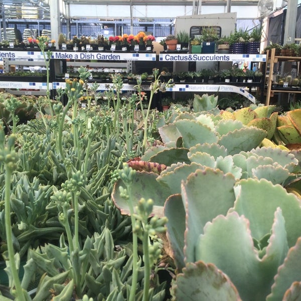 Photos at Lowe's Las Vegas, NV