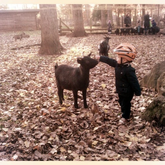 Wildfreigehege Bend Zoo