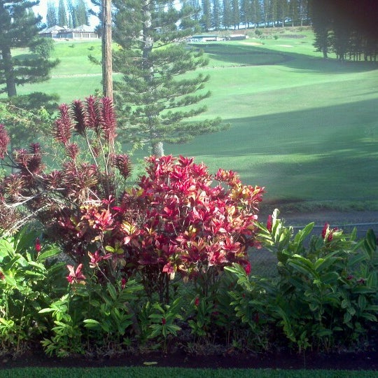 Photos At Gardens At West Maui 45 Visitors