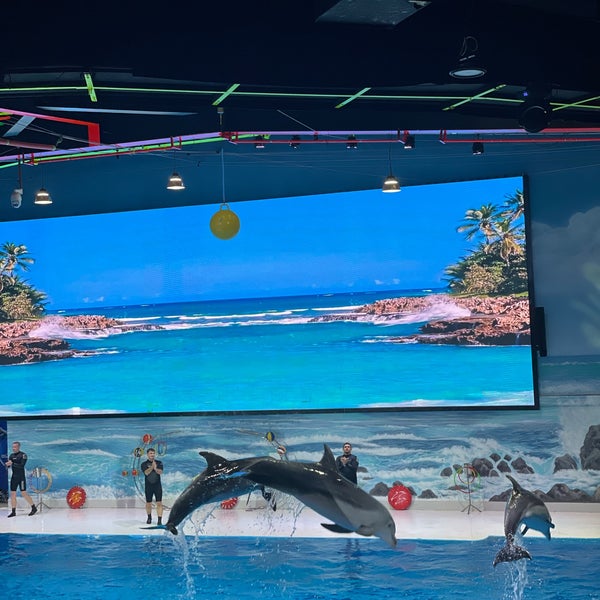 Foto tirada no(a) Dubai Dolphinarium por Y ⁸. em 8/10/2022