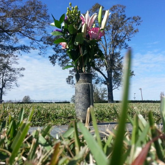 1/4/2013 tarihinde Molly O.ziyaretçi tarafından Garden of Memories Cemetery'de çekilen fotoğraf