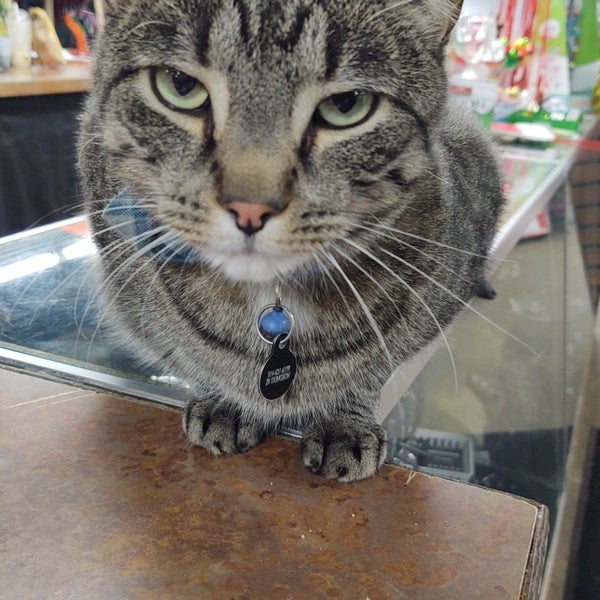 Johnnie Brock's Dungeon McKinley Heights St Louis, MO