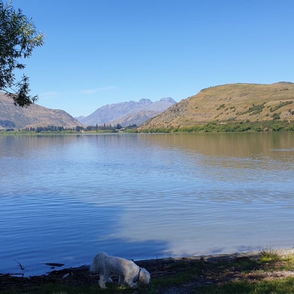 Lake Hayes Lake Hayes 4 tips from 528 visitors