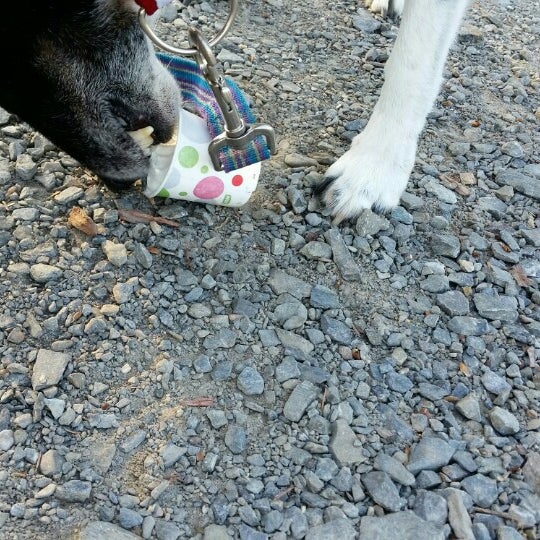 Axel's Food And Ice Cream 2 tips