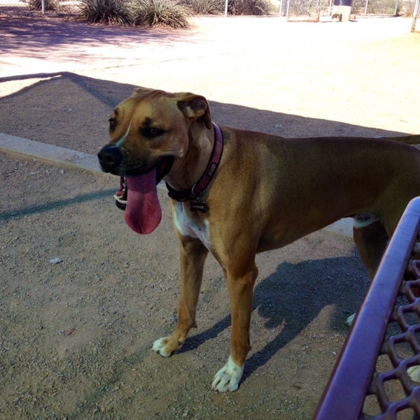 Photos at Tempe Sports Complex Dog Park 8401 S Hardy Dr.