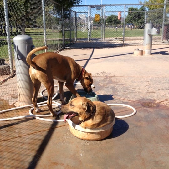 Photos at Tempe Sports Complex Dog Park 8401 S Hardy Dr.