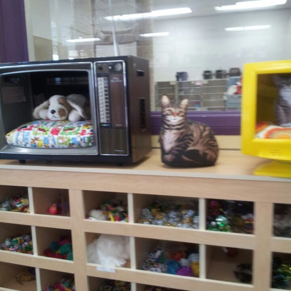 The Cat Connection 6 tips