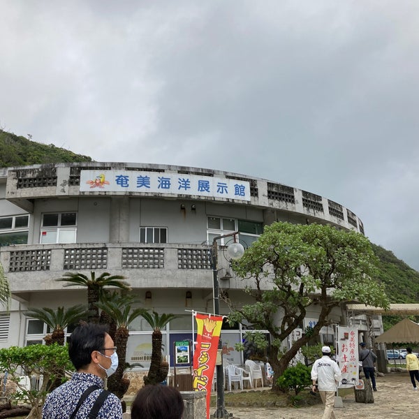 Photos At 奄美海洋展示館 Aquarium In 奄美市
