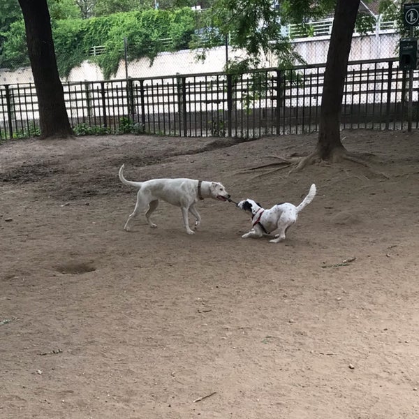 18th Street Dog Run Greenwood Heights Brooklyn, NY