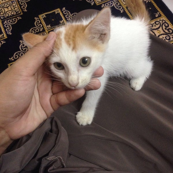 Taman Temara Ipoh Perak