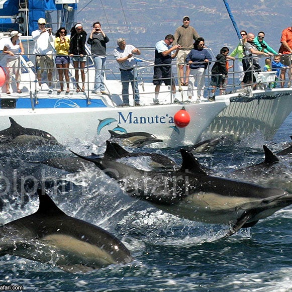 Foto scattata a Capt. Dave&#39;s Dana Point Dolphin &amp; Whale Watching Safari da Capt. Dave&#39;s Dana Point Dolphin &amp; Whale Watching Safari il 9/13/2013