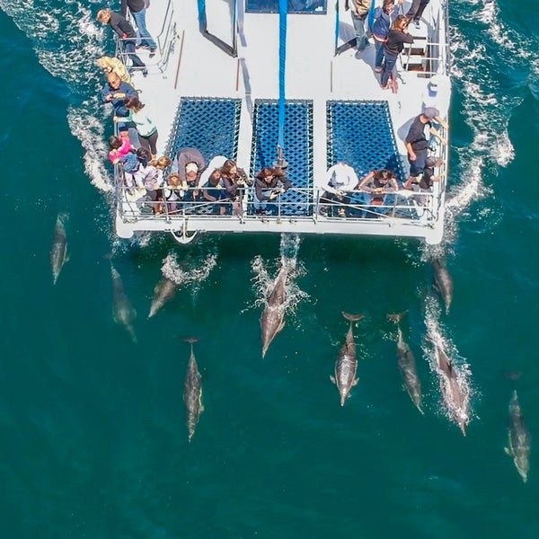 Foto diambil di Capt. Dave&#39;s Dana Point Dolphin &amp; Whale Watching Safari oleh Capt. Dave&#39;s Dana Point Dolphin &amp; Whale Watching Safari pada 3/18/2020