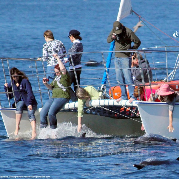 Foto scattata a Capt. Dave&#39;s Dana Point Dolphin &amp; Whale Watching Safari da Capt. Dave&#39;s Dana Point Dolphin &amp; Whale Watching Safari il 9/13/2013
