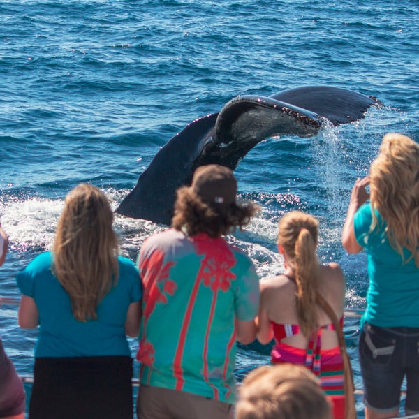 รูปภาพถ่ายที่ Capt. Dave&#39;s Dana Point Dolphin &amp; Whale Watching Safari โดย Capt. Dave&#39;s Dana Point Dolphin &amp; Whale Watching Safari เมื่อ 3/18/2020
