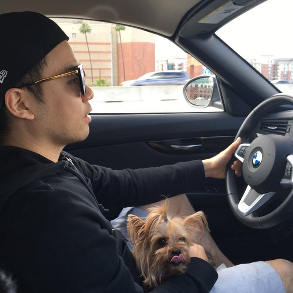 Olympic Pet Shop Los Angeles'te Evcil Hayvan Malzemeleri Mağazası