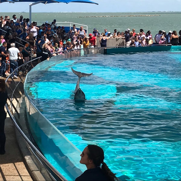 รูปภาพถ่ายที่ Texas State Aquarium โดย George T. เมื่อ 6/29/2021