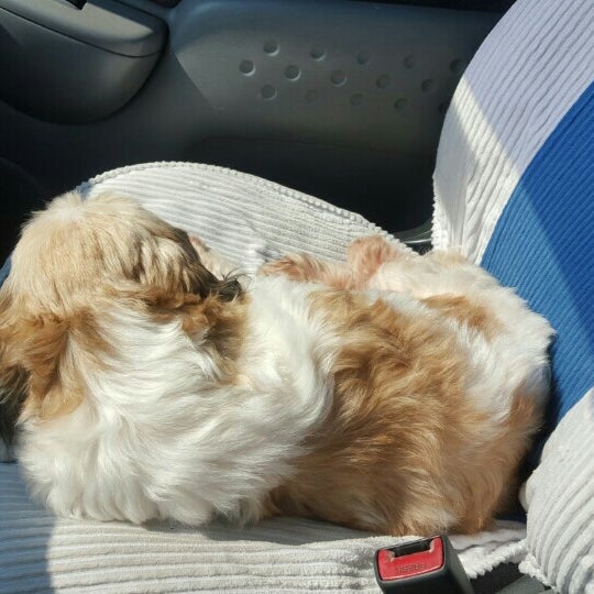 LG Veterinary Clinic Pet Supplies Store in Marikina City