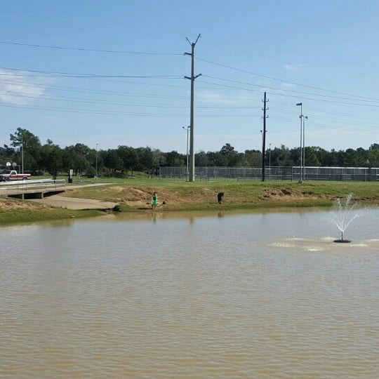 B & P W Park 40 visitors