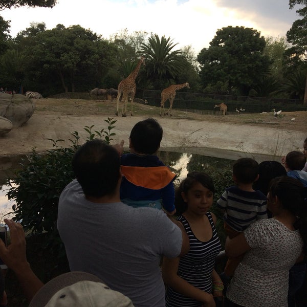 Das Foto wurde bei Zoológico de Chapultepec von Ivonnita am 10/8/2017 aufgenommen