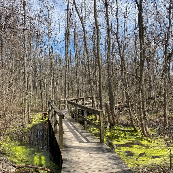 Stiglmeier Park (Losson Park) Bellevue 14 tips