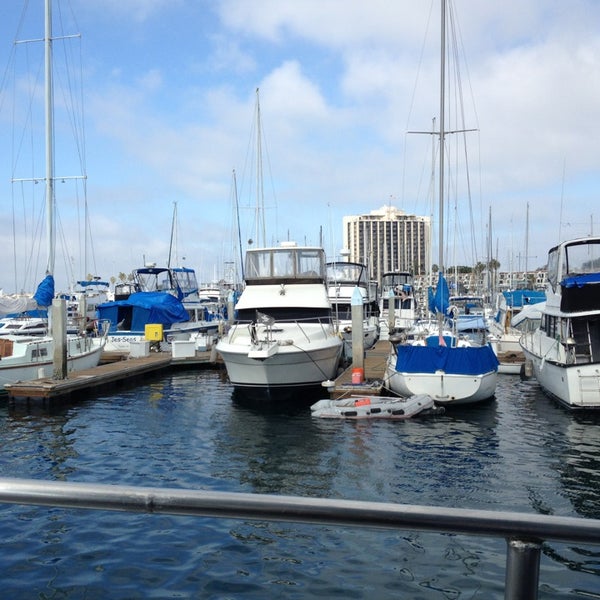 2/17/2013 tarihinde Summer E.ziyaretçi tarafından San Diego Whale Watch'de çekilen fotoğraf