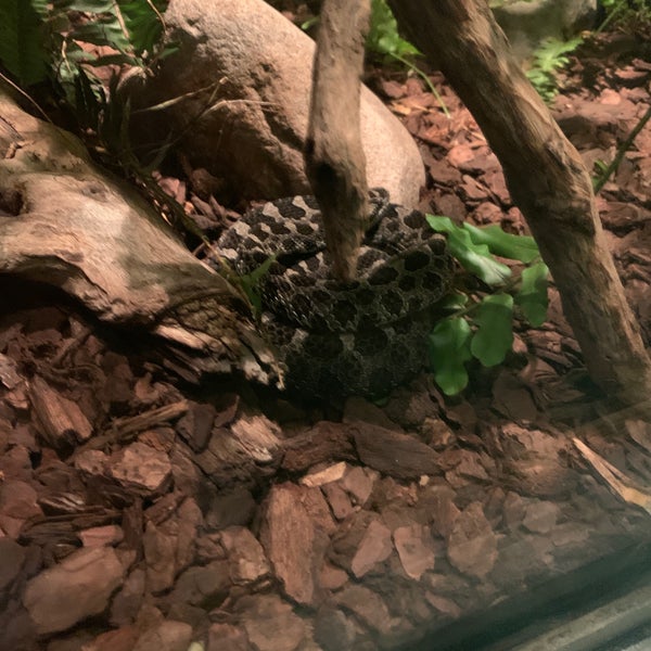 Regenstein Small Mammal & Reptile House Zoo Exhibit in Chicago