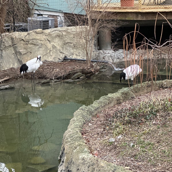 Photo taken at Cincinnati Zoo &amp; Botanical Garden by Beth S. on 2/27/2023