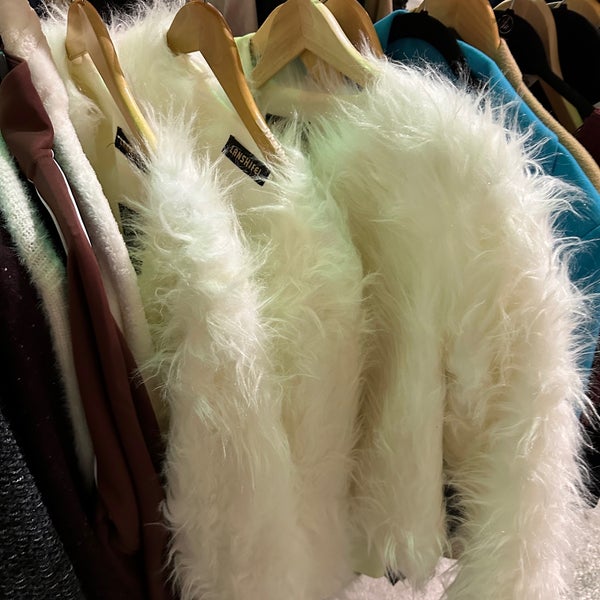 The Brown Elephant - Vintage and Thrift Store in Andersonville