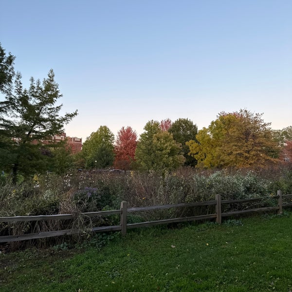 Winnemac Park Ravenswood 5001 N Leavitt St