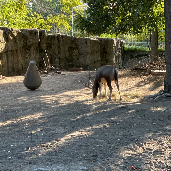 10/7/2023にBeth S.がLincoln Park Zooで撮った写真