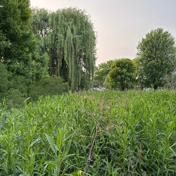 Winnemac Park Ravenswood 5001 N Leavitt St