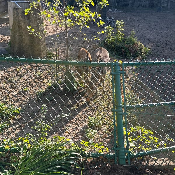 10/7/2023にBeth S.がLincoln Park Zooで撮った写真