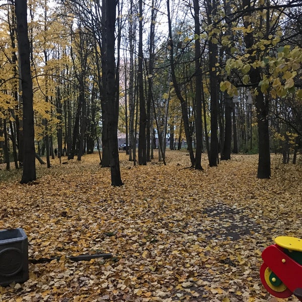 Парк ближняя дача