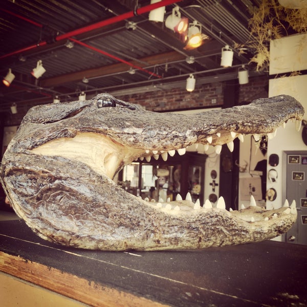 6/1/2015 tarihinde Tina M.ziyaretçi tarafından Morbid Anatomy Museum'de çekilen fotoğraf