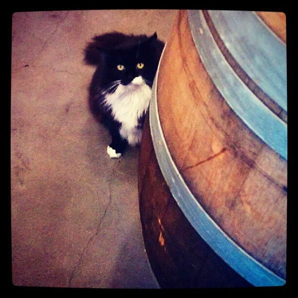 Photo taken at Dutch Henry Winery by E M. on 11/3/2012