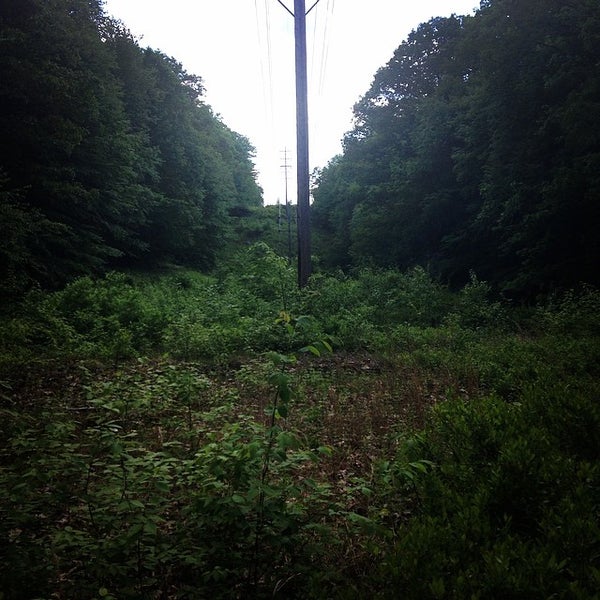 Pound Ridge, NY 2 tips from 422 visitors